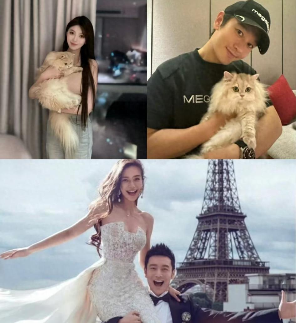 娱乐圈公布恋情的明星_黄晓明新恋情 胡冉儿 黄晓明感情史