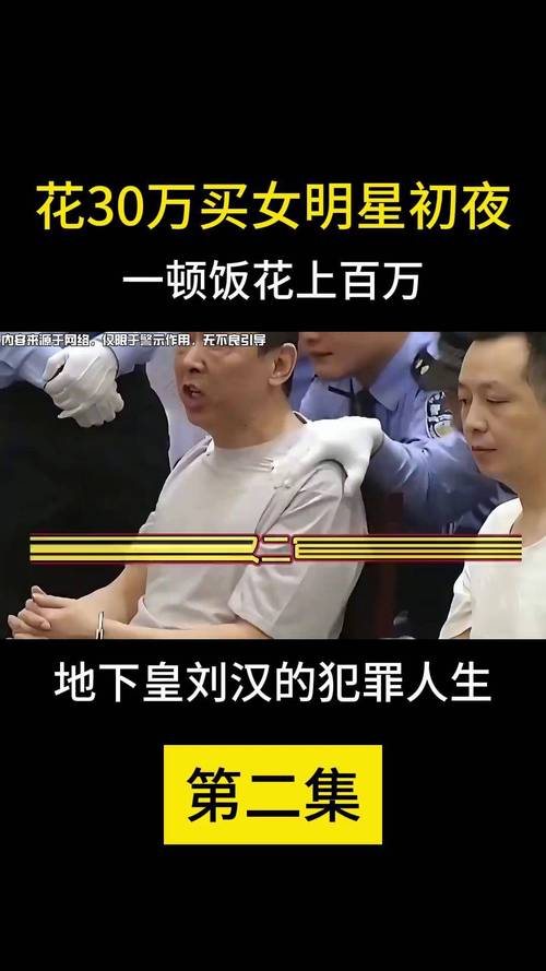 演员女儿被绑架_女明星女儿被绑架_明星绑架案视频